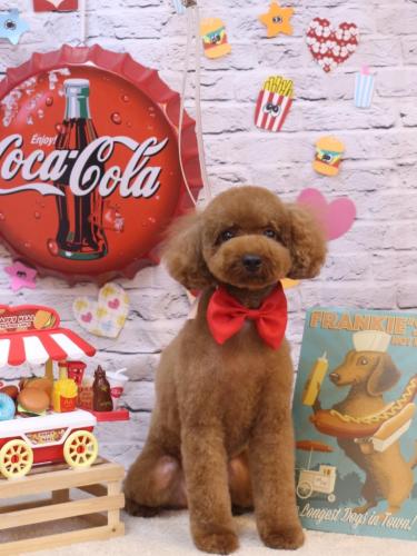 20230906かぐらちゃん